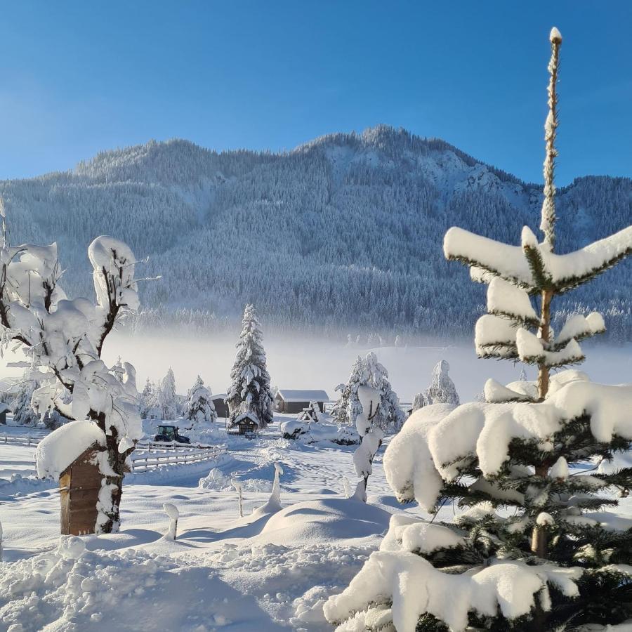 Hotel Winkler-Tuschnig Вайсензее Экстерьер фото
